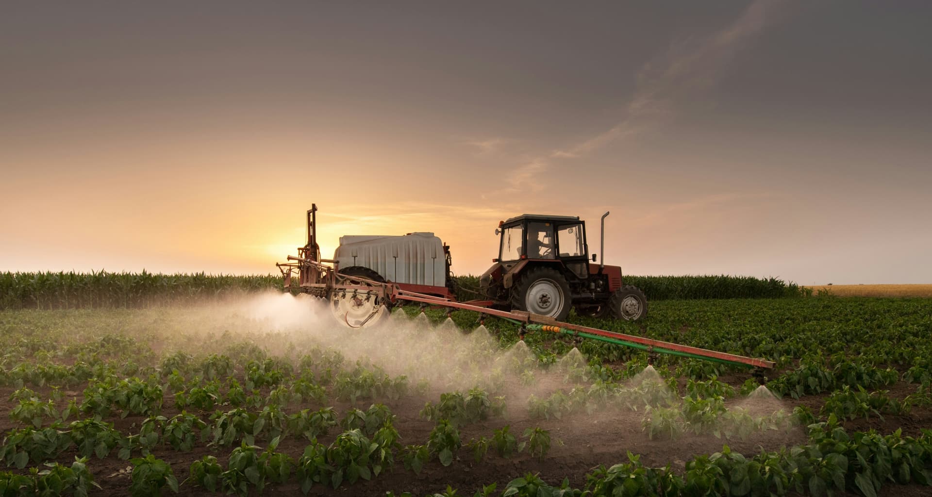 Agricultural field with tractor spraying crops